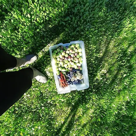Quinta Da Peca Douro Vinhateiro *